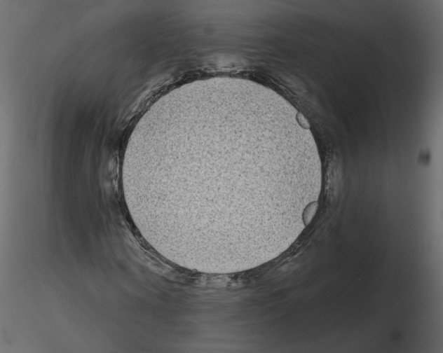 X0000115690866200912241500