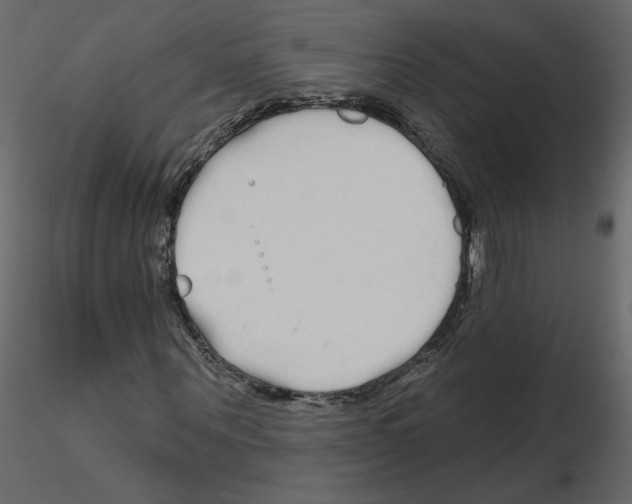 X0000115690867200912241500