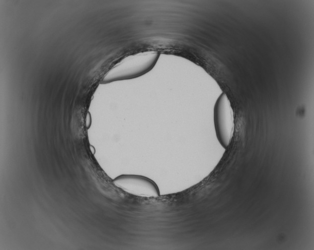 X0000115690868200912241500