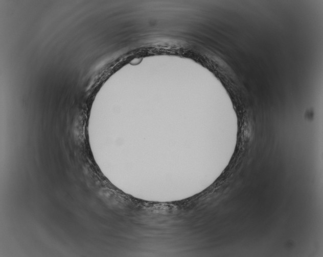 X0000115690869200912241500