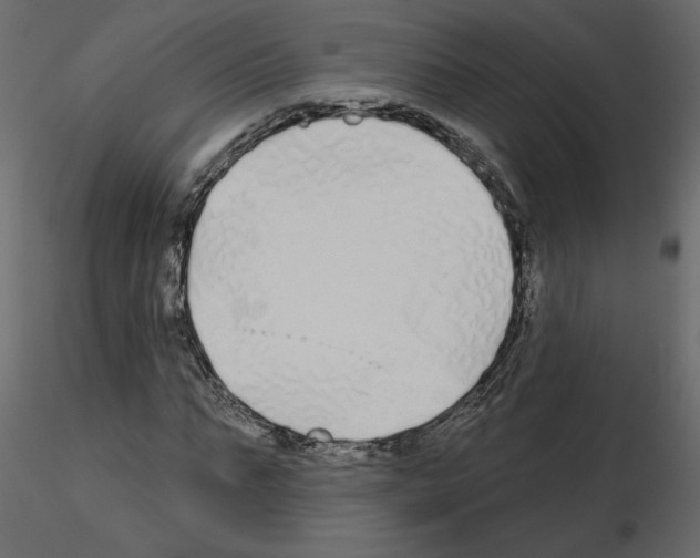 X0000115690871200912241500