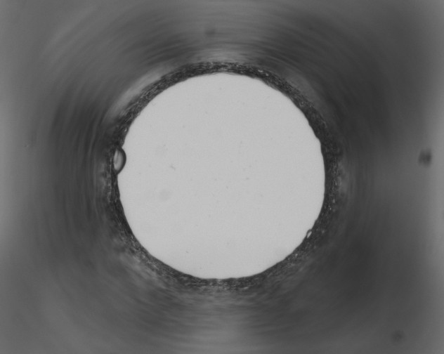 X0000115690872200912241459