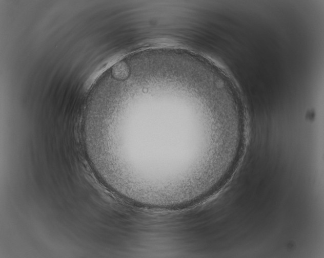X0000115690873200912241459