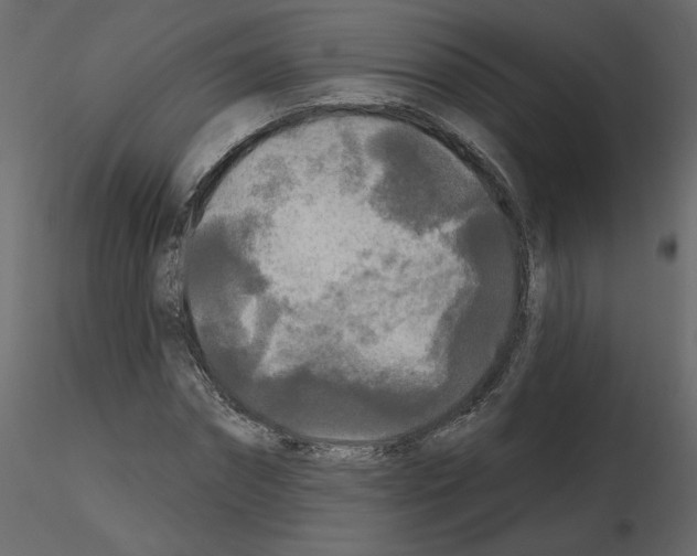 X0000115690874200912241459