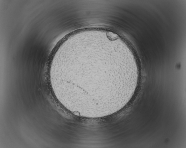 X0000115690875200912241459