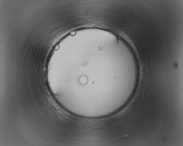 X0000115690876200912241459