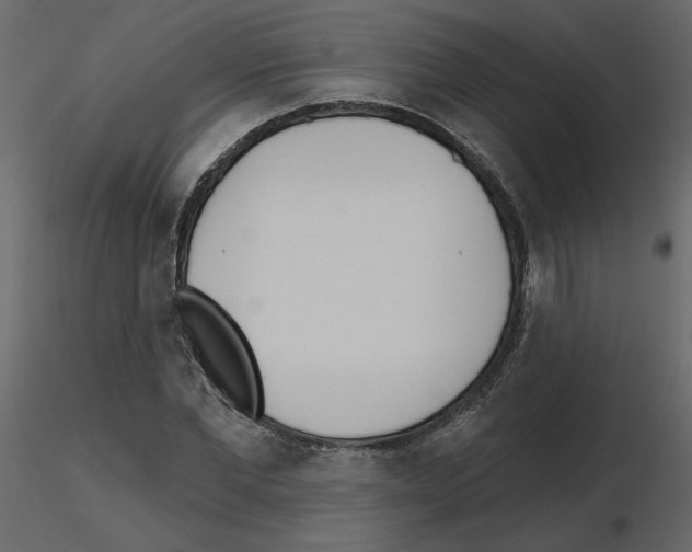 X0000115690877200912241459
