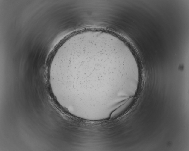 X0000115690878200912241459