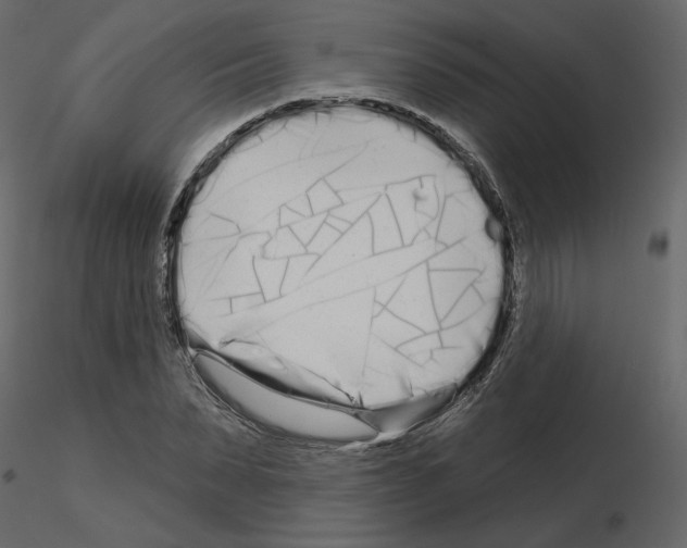 X0000115690879200912241459