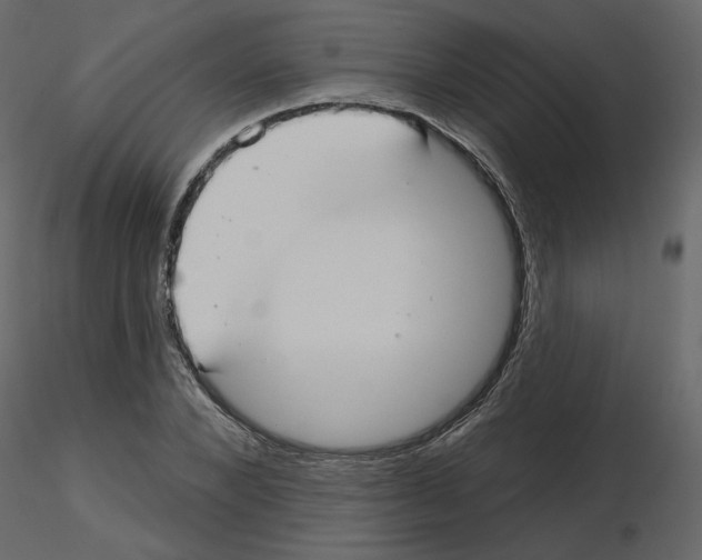 X0000115690880200912241459