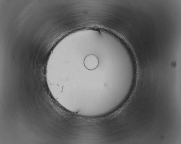 X0000115690881200912241459