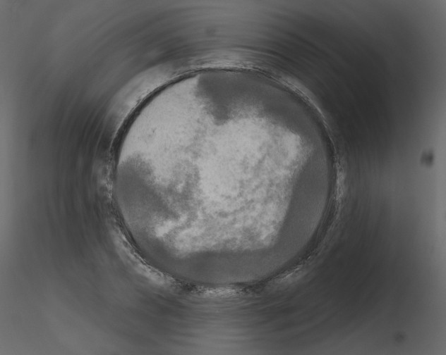 X0000115690882200912241459