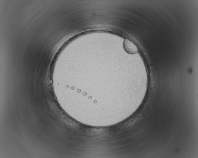 X0000115690883200912241459