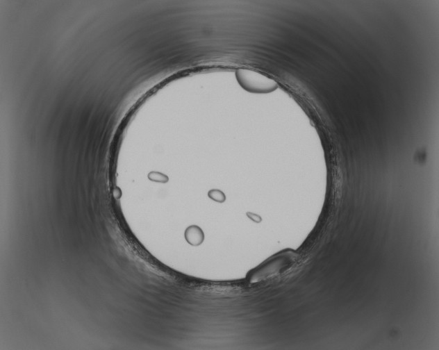 X0000115690884200912241459