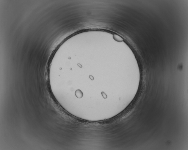 X0000115690885200912241459