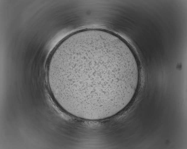 X0000115690886200912241459