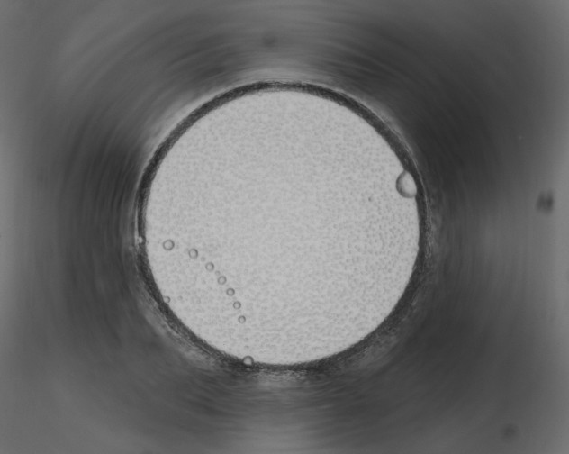 X0000115690887200912241459