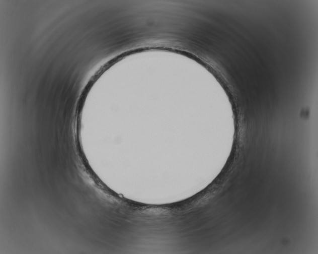 X0000115690888200912241459