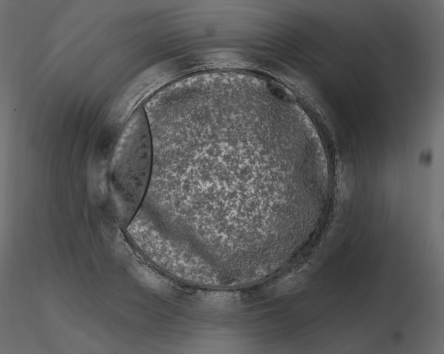 X0000115690889200912241459