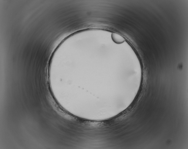 X0000115690891200912241459