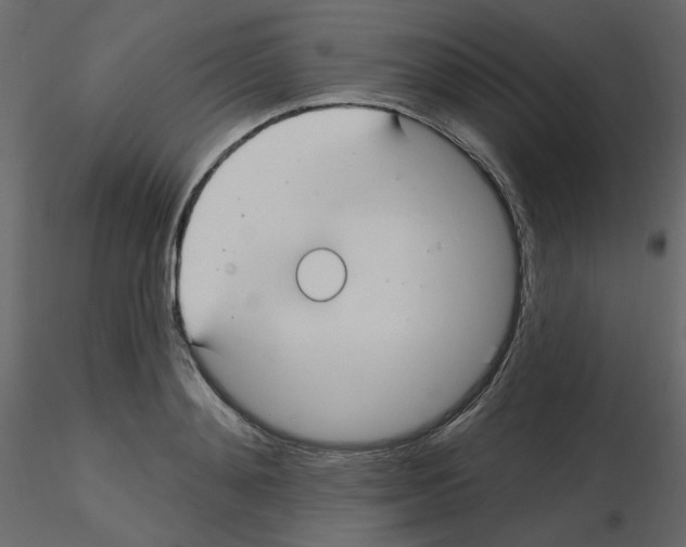 X0000115690892200912241459