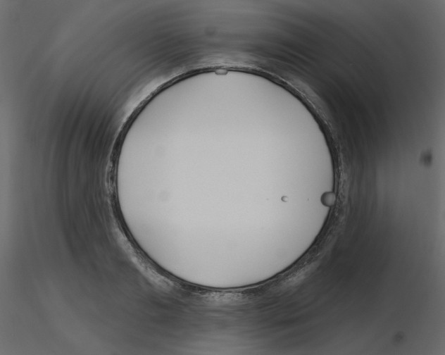 X0000115690893200912241459