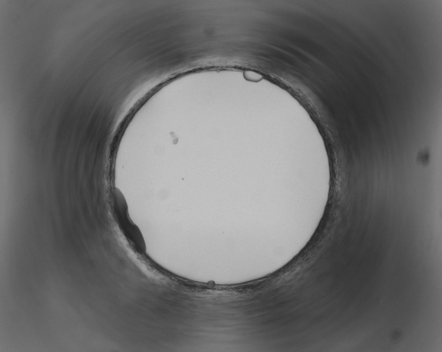 X0000115690894200912241459