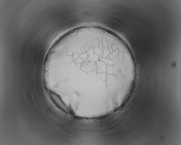 X0000115690895200912241459