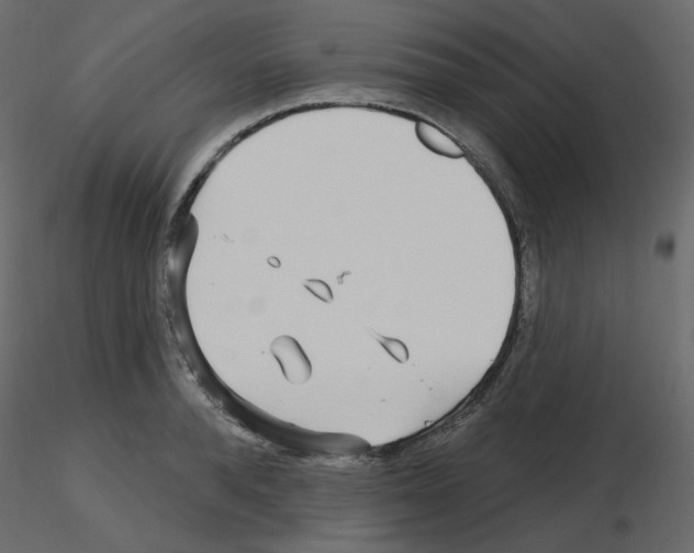 X0000115690896200912241459