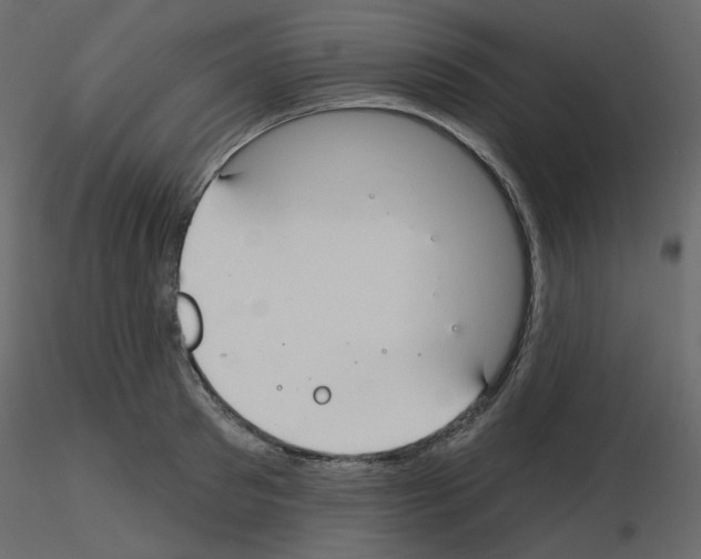 X0000115690897200912241459