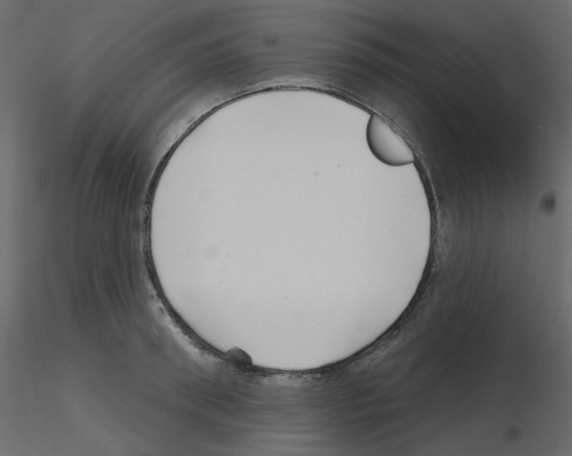 X0000115690898200912241459