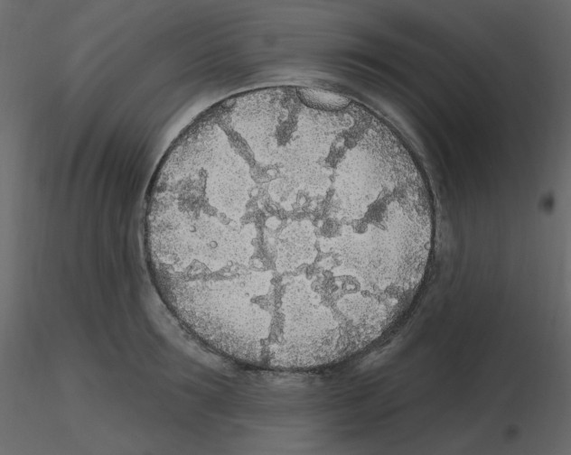 X0000115690899200912241459