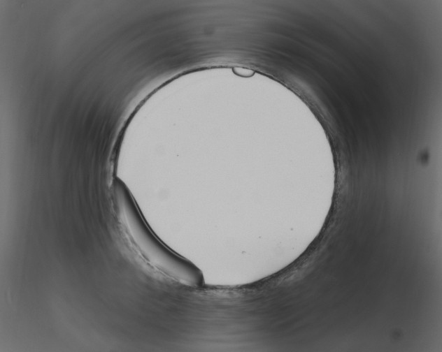 X0000115690900200912241459