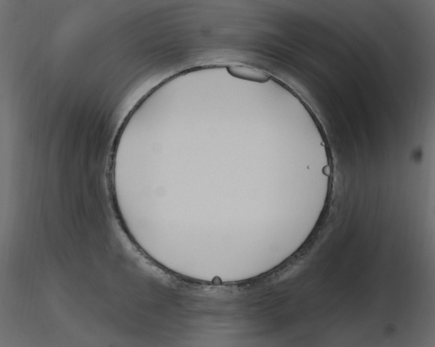 X0000115690901200912241459
