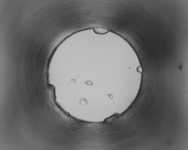 X0000115690902200912241459