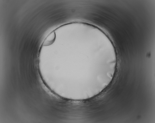 X0000115690903200912241459
