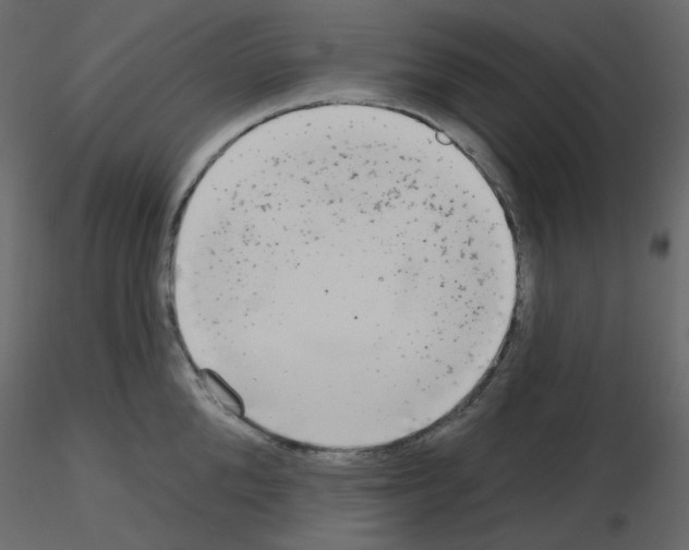 X0000115690904200912241459