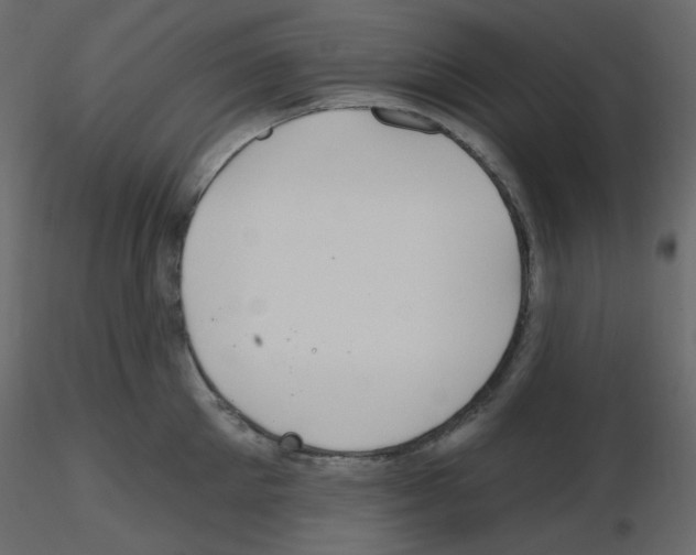 X0000115690905200912241459