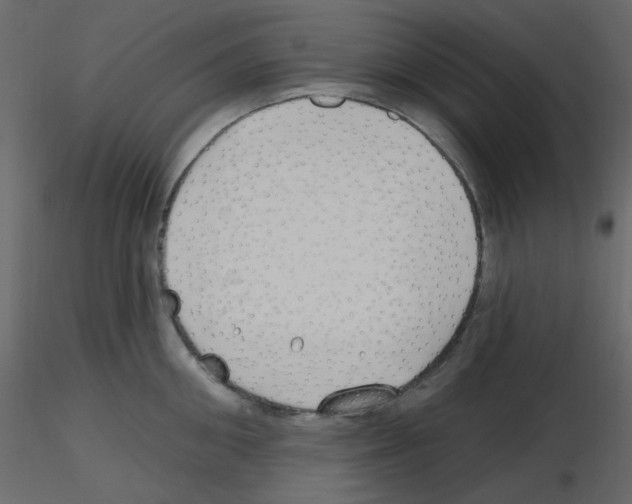 X0000115690906200912241459