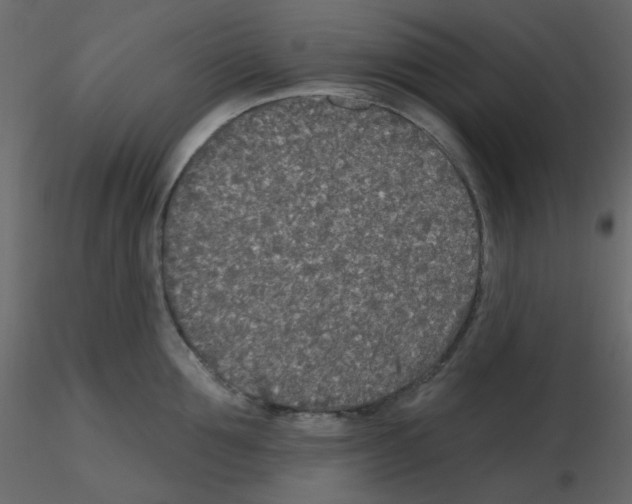 X0000115690907200912241459