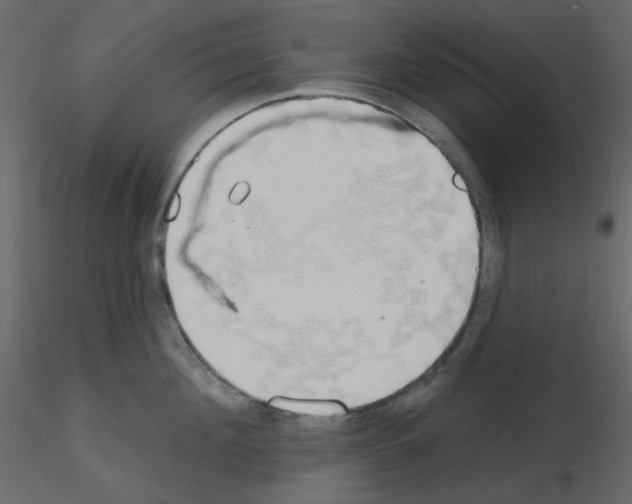 X0000115690908200912241459