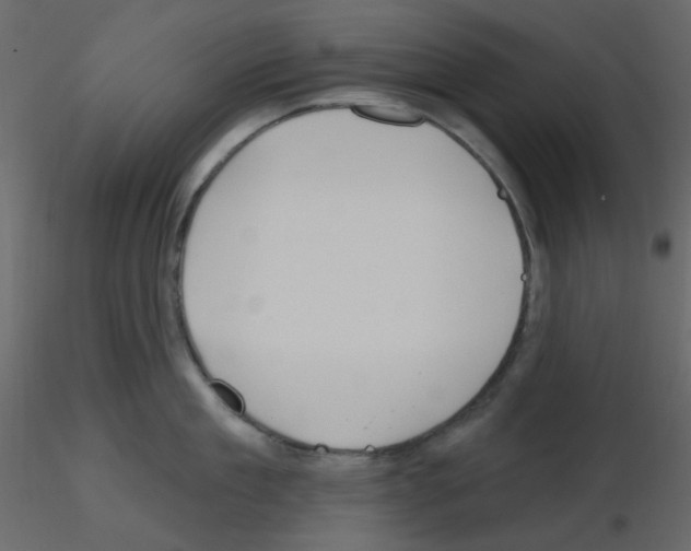 X0000115690909200912241459