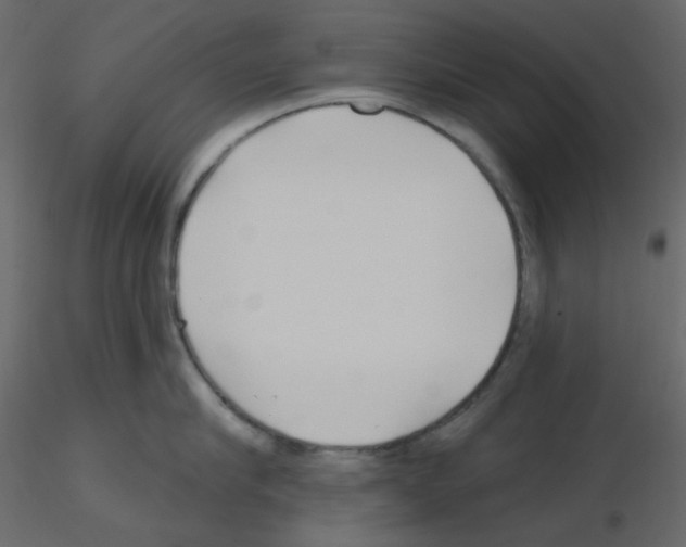 X0000115690910200912241459