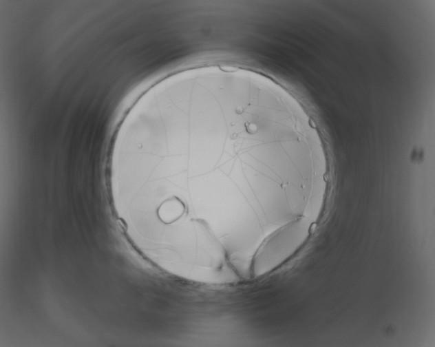X0000115690912200912241459
