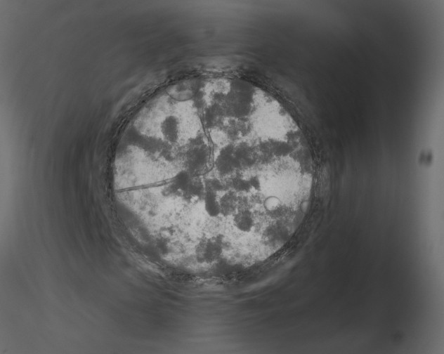 X0000115690913200912241458