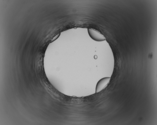 X0000115690914200912241458