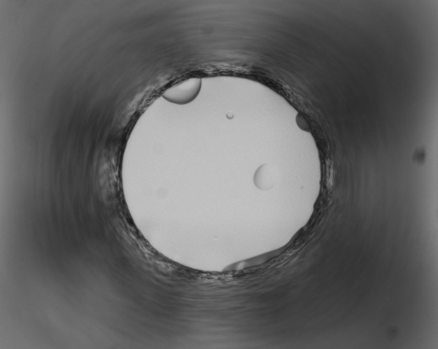 X0000115690915200912241458