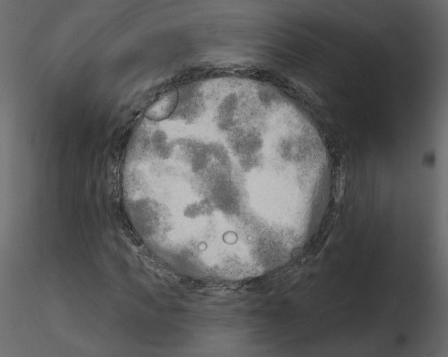 X0000115690917200912241458