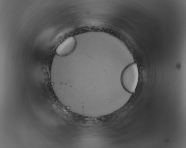 X0000115690918200912241458