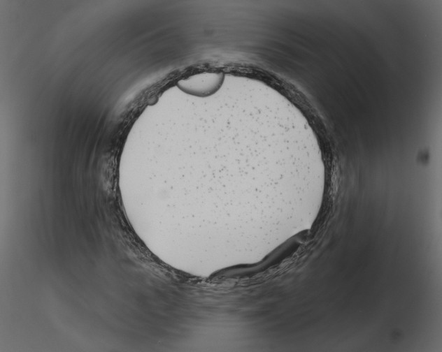 X0000115690919200912241458